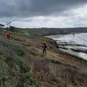 Restauration des landes et des pelouses aérohalines sur le site du Veryac&rsquo;h