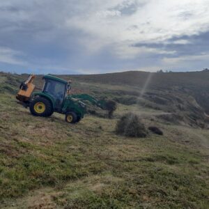 Restauration des landes et pelouses aérohalines sur le site de Porzh koubou (Dinan)