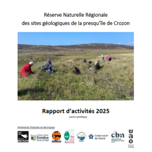 Rapport d&rsquo;activités 2025