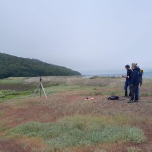 Suivi scientifique sur le site du Sillon des Anglais (Landévennec)